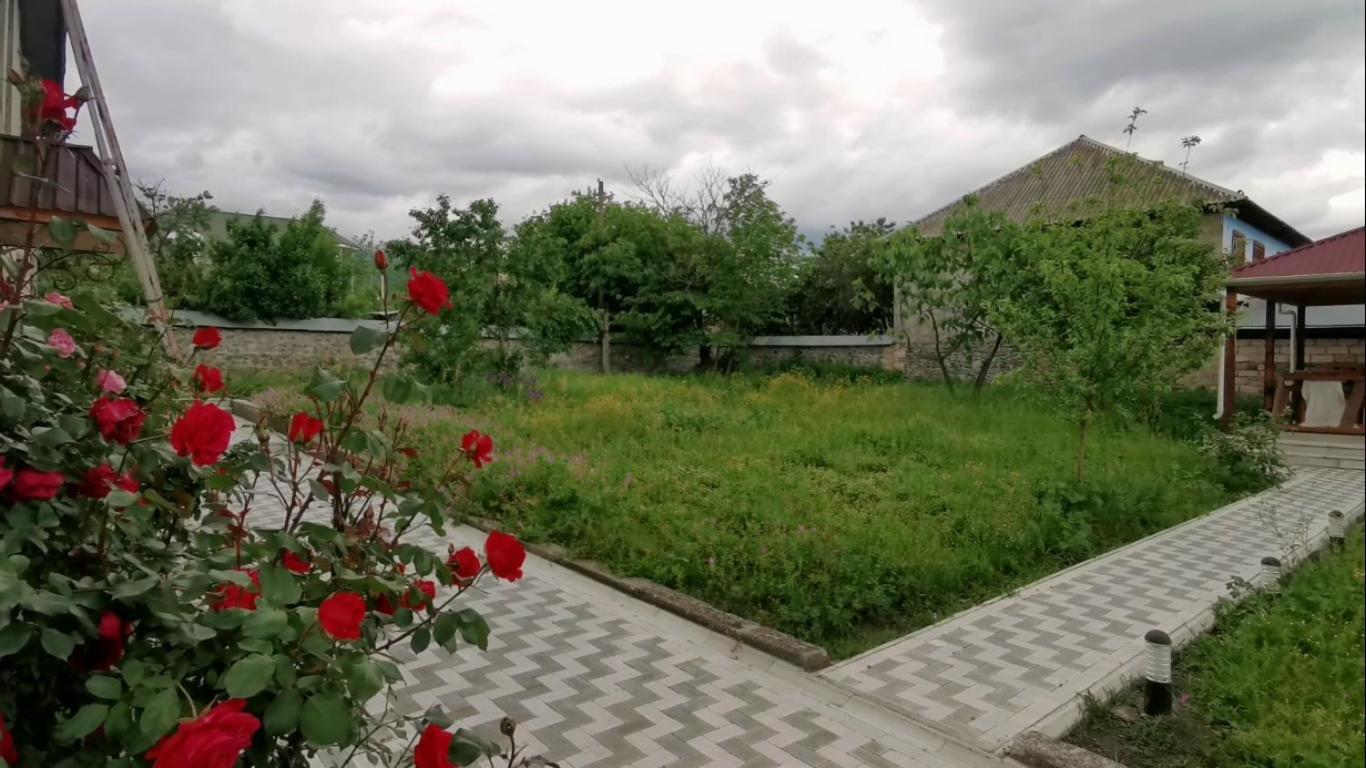 Bereket Villa And Aparts Gabala Ngoại thất bức ảnh